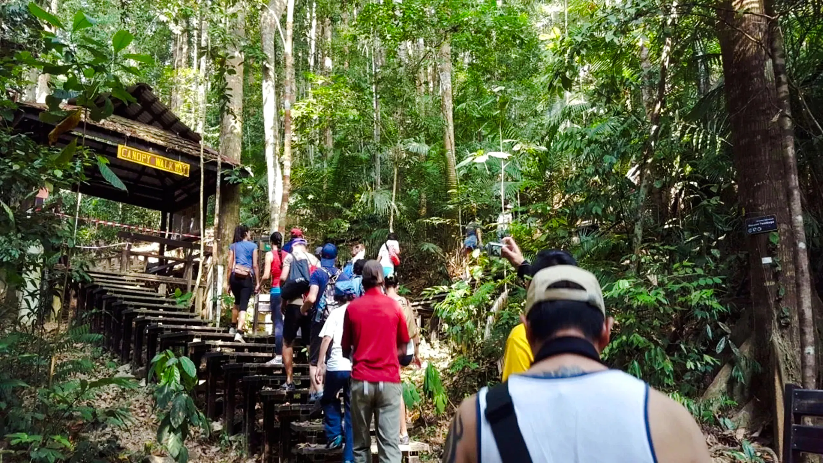 from kuala lumpur: taman negara national park private day trip with canopy walkway-7