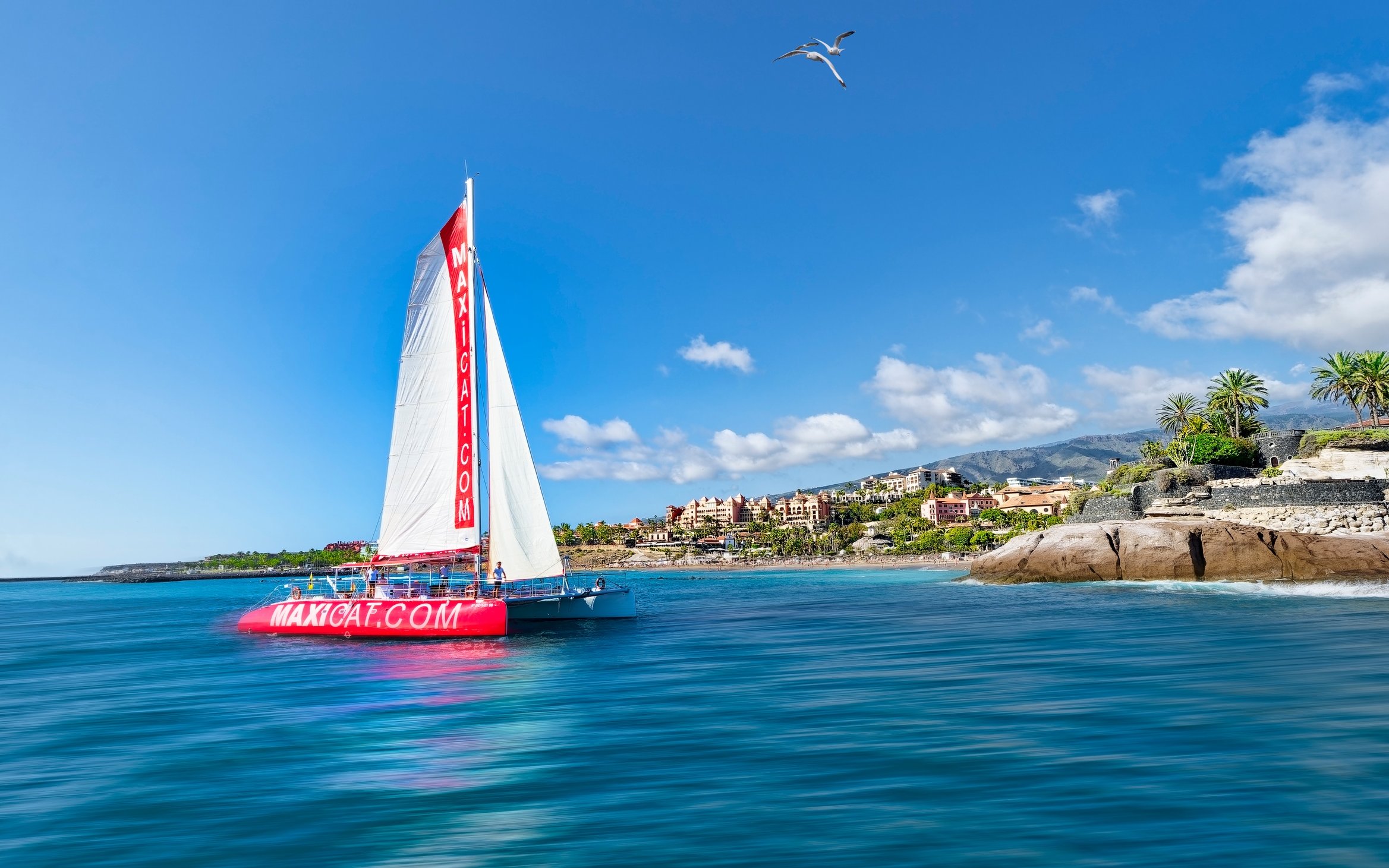 Maxicat catamaran sailing near Tenerife coast for whale watching.