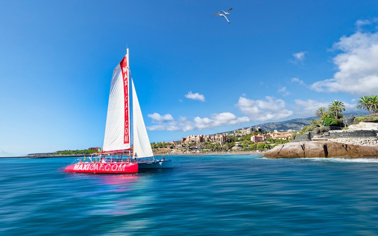Maxicat catamaran sailing near Tenerife coast for whale watching.