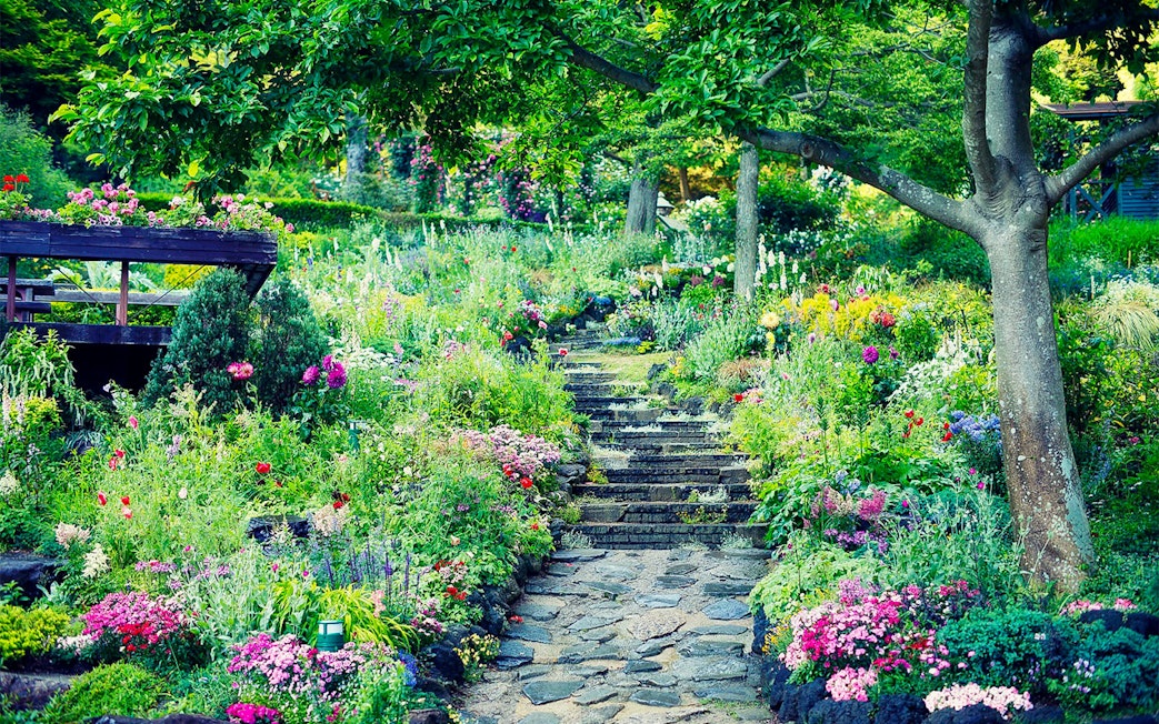 Stone path through vibrant flowers at Kobe Nunobiki Herb Gardens, Japan.