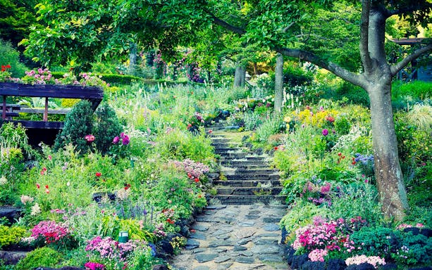Stone path through vibrant flowers at Kobe Nunobiki Herb Gardens, Japan.