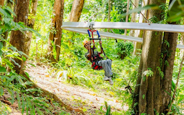 Person ziplining through forest on Sky Rock Roller Adventure, Khao Lak.