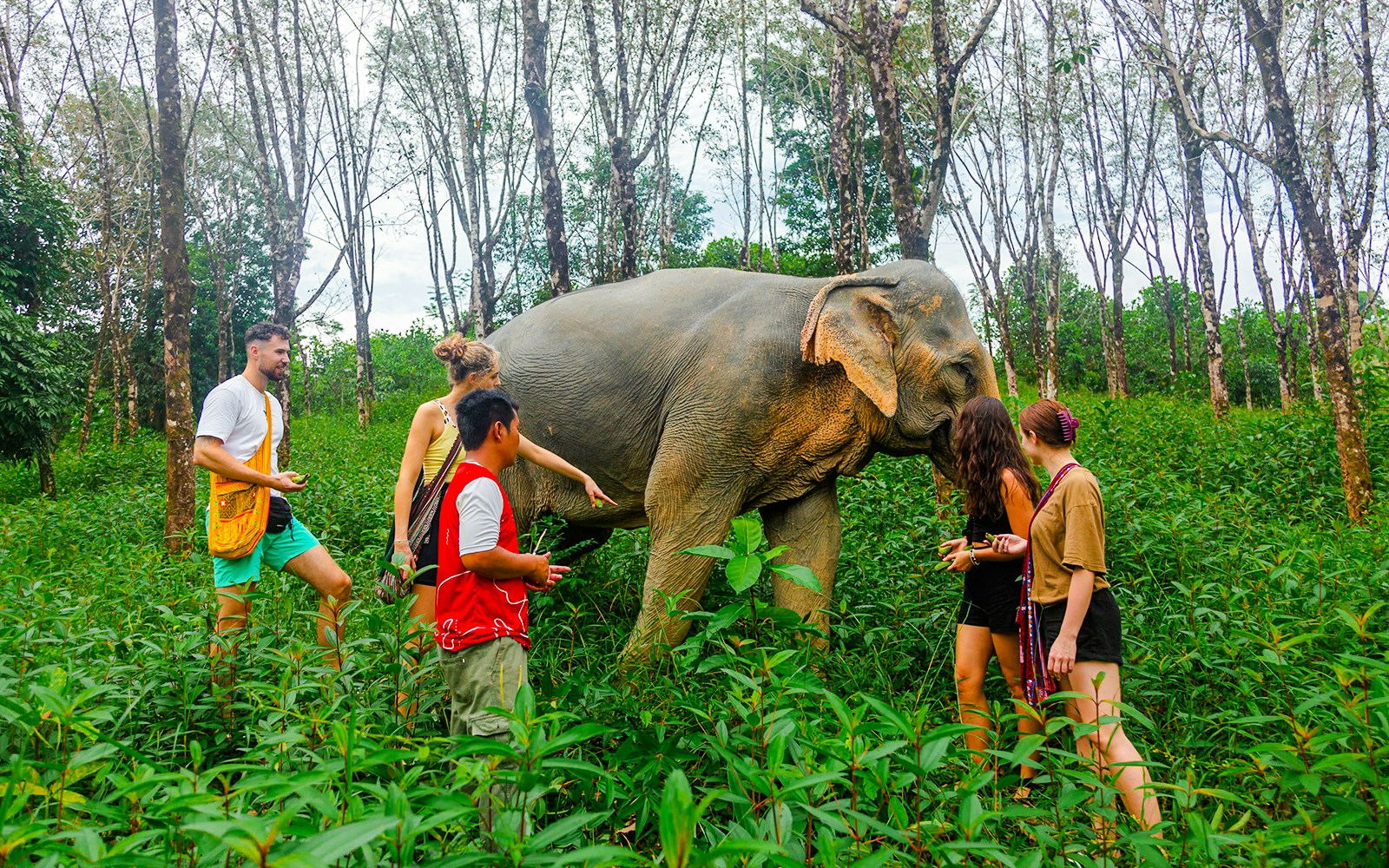 Visitors walking with an elephant at Khaolak Ethical Elephant Sanctuary.