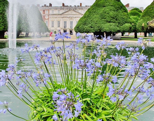 Hampton Court Gardens