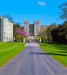 Windsor