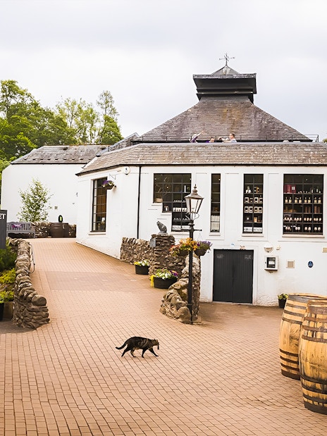 Glenturret Distillery courtyard with whisky barrels, part of Edinburgh day tour.