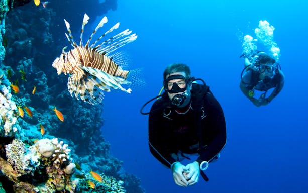 Scuba divers exploring coral reef with lionfish during full-day boat tour.