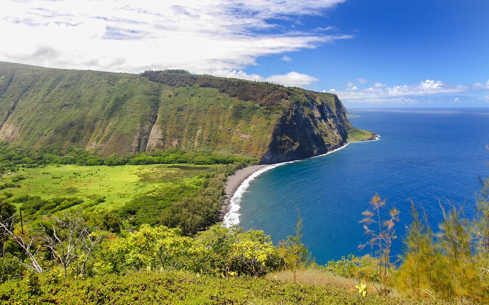 Waipi’o Valley coastline with lush green cliffs and blue ocean in Hawaii.
