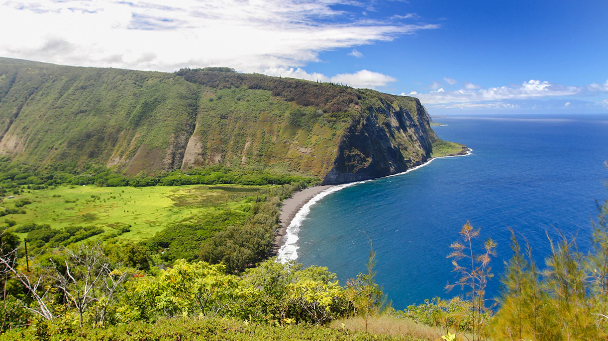 Waipi’o Valley coastline with lush green cliffs and blue ocean in Hawaii.