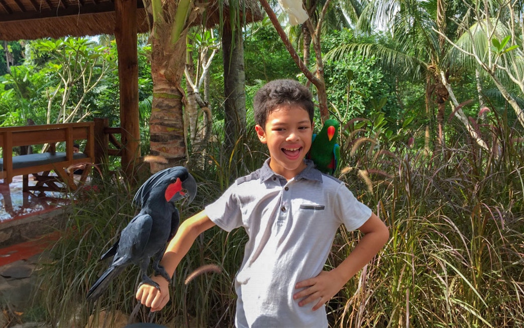 Child interacting with parrots at Lombok Wildlife Park.