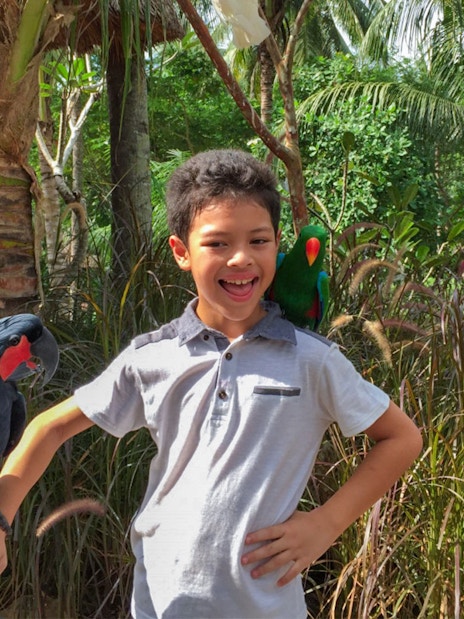 Child interacting with parrots at Lombok Wildlife Park.