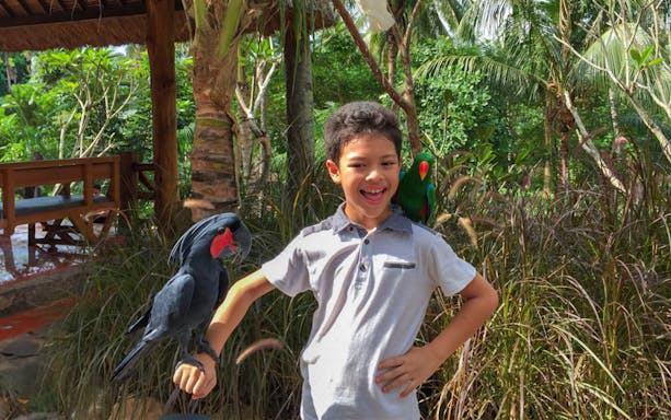 Child interacting with parrots at Lombok Wildlife Park.