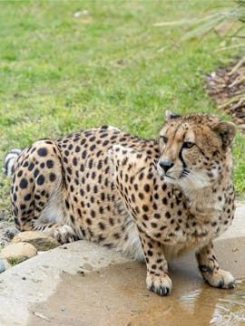 Symbio Wildlife Park