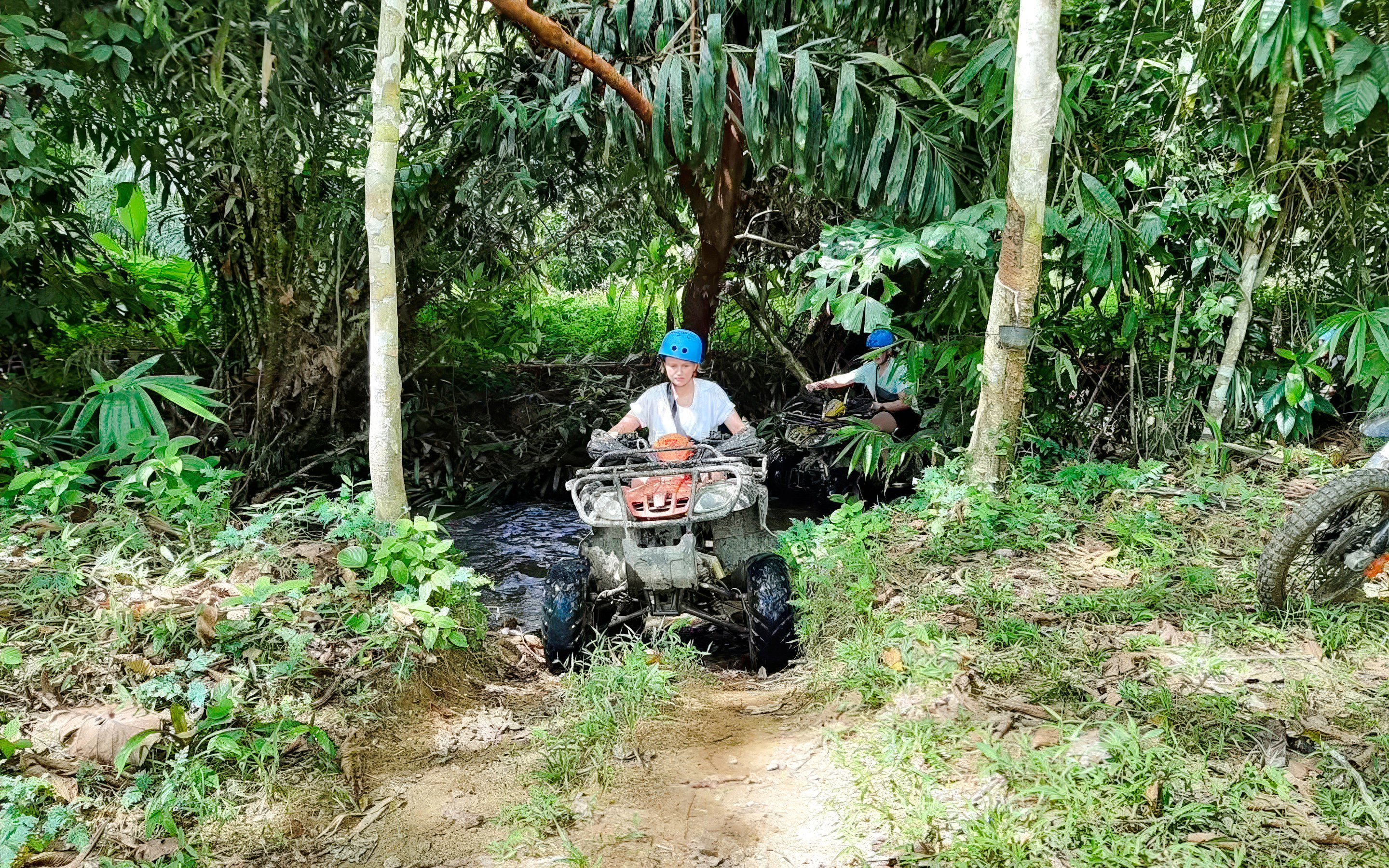 ATV riders navigating a forest trail with lush greenery.