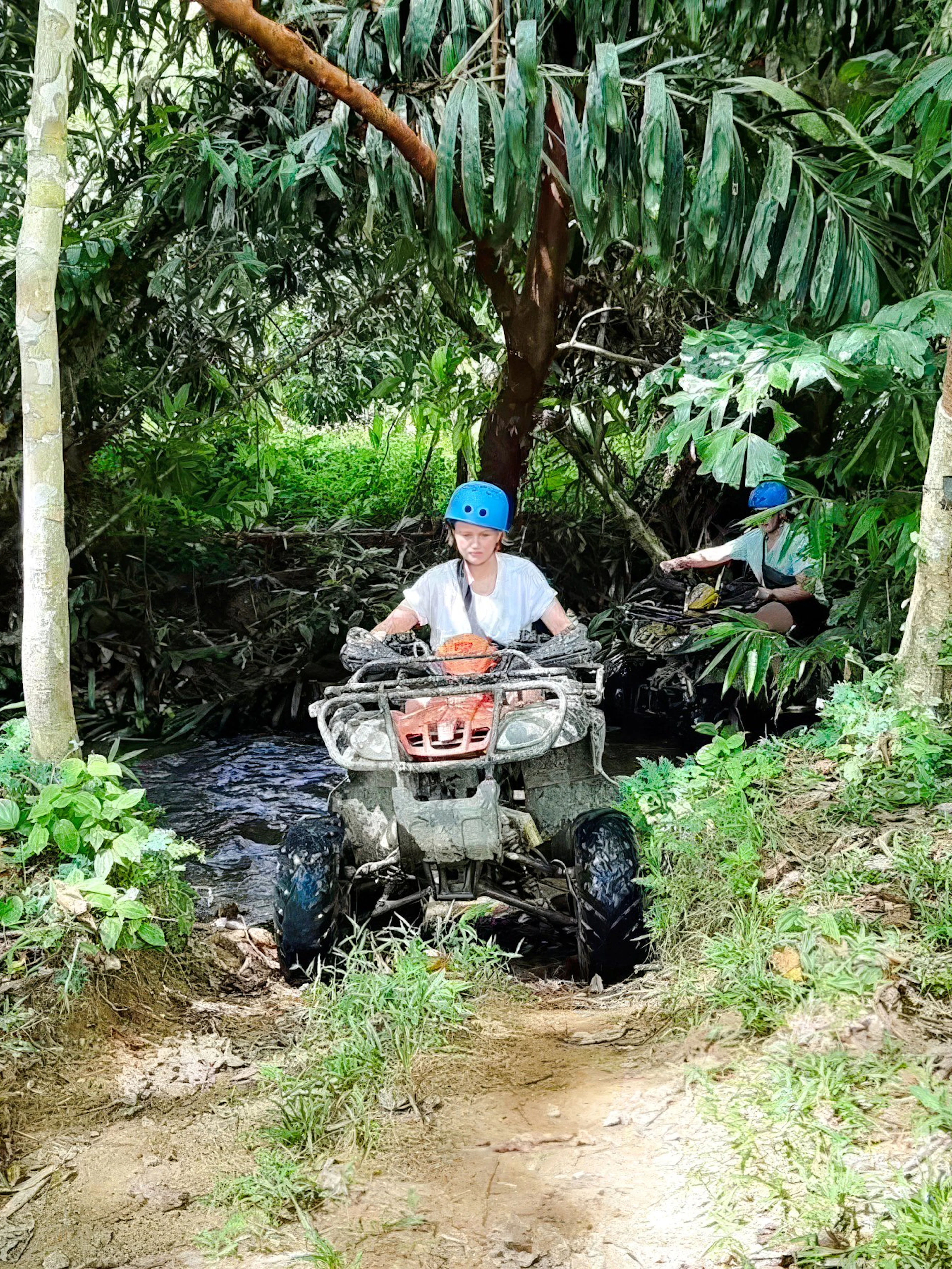 ATV riders navigating a forest trail with lush greenery.