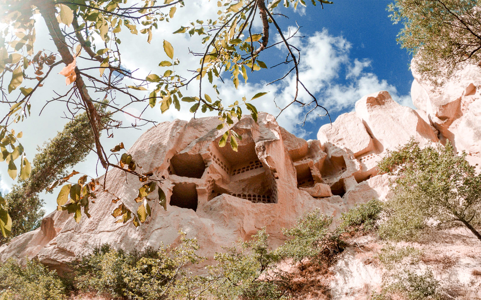 Rock formation with ancient cave dwellings carved into the cliff, surrounded by trees.