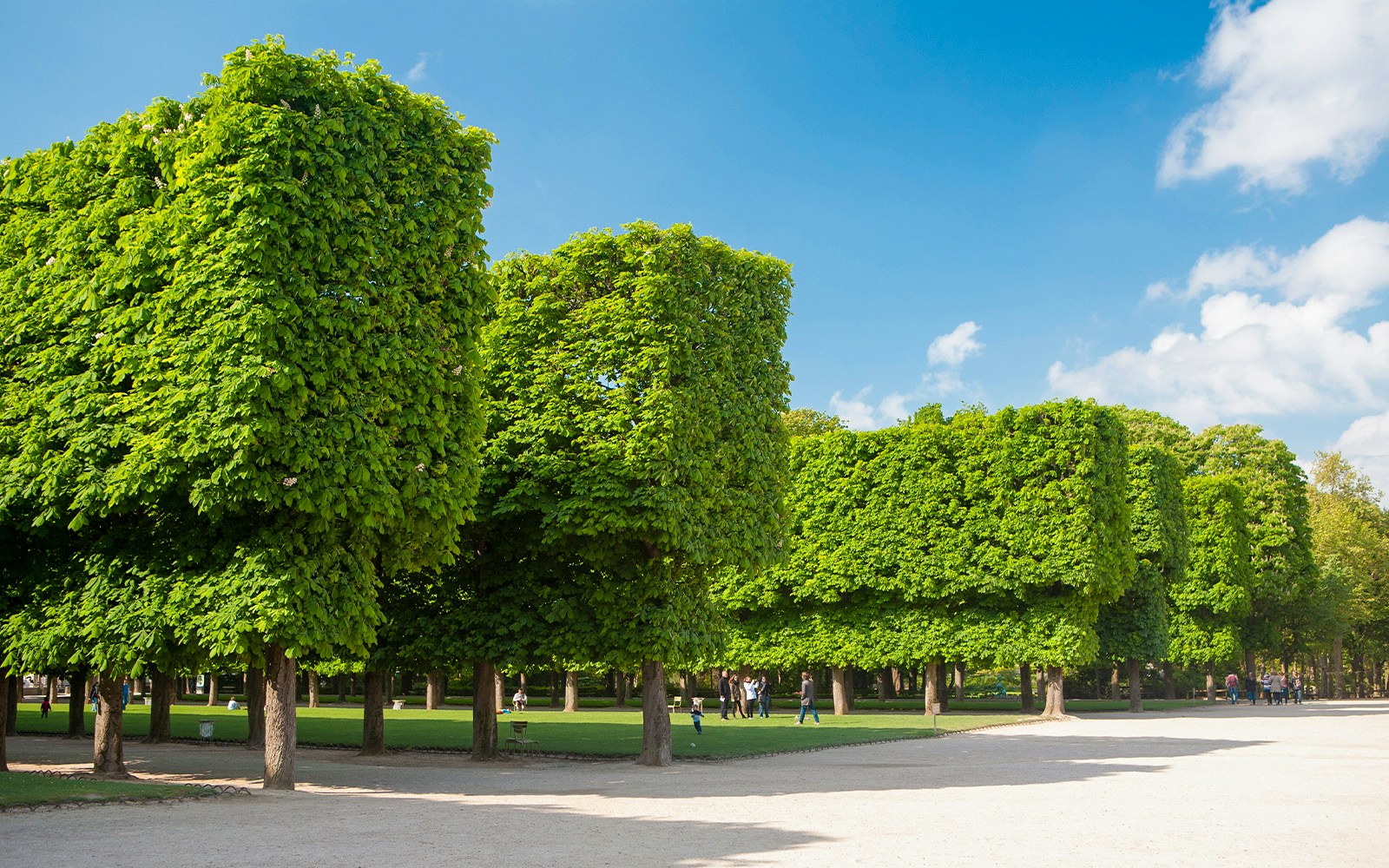 Grand Couvert dining area in Paris Tuileries Garden with elegant table settings.