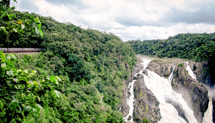 Kuranda Rainforest