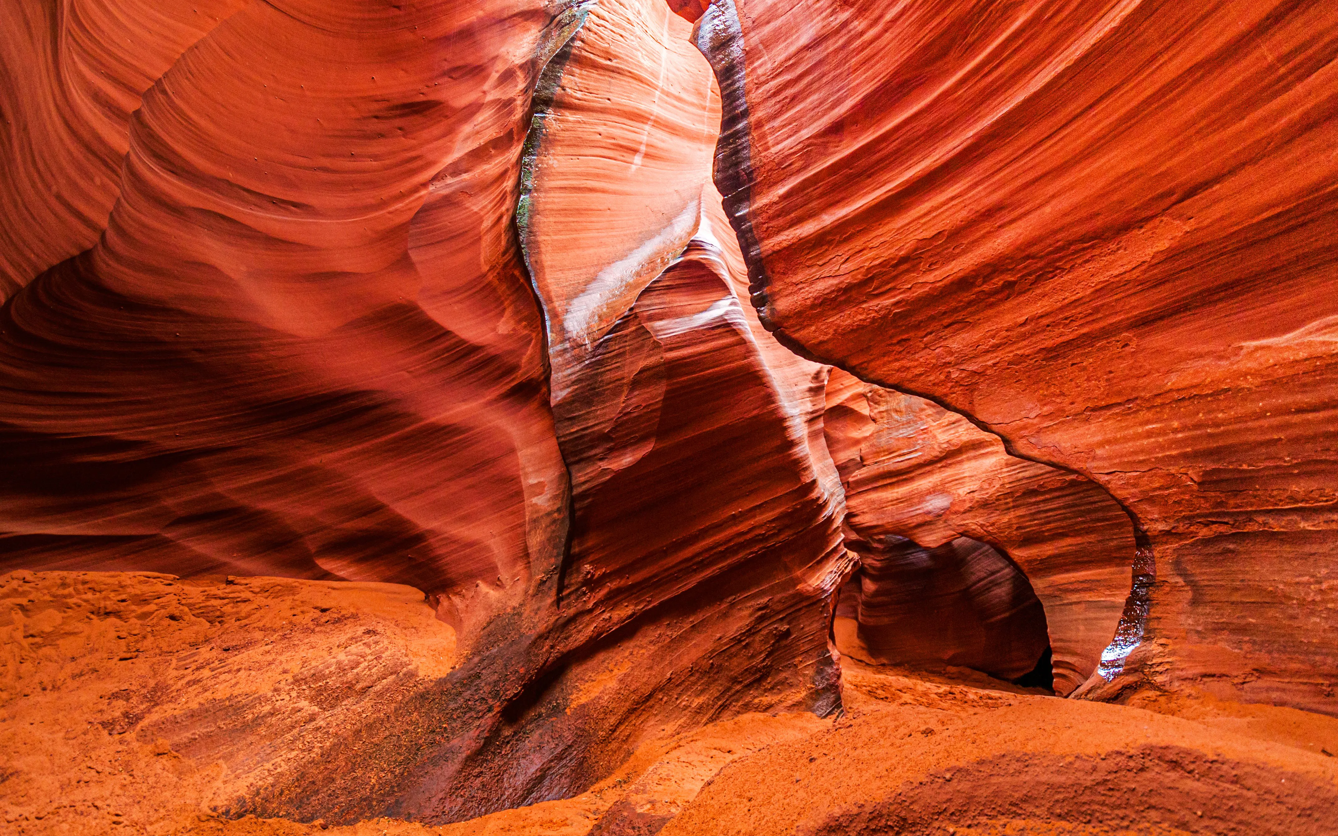 Rattlesnake Canyon's swirling red sandstone formations.