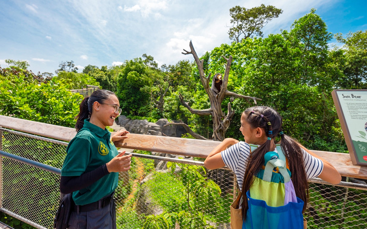 Ranger discussing Malayan Sun Bear with visitor at wildlife park.