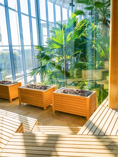 Therme Bucuresti indoor garden with tropical plants and wooden planters.