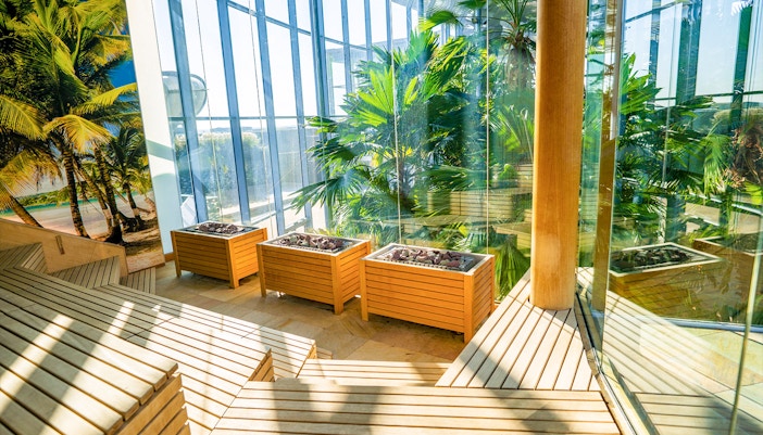 Indoor botanical garden at Therme Bucharest Palm