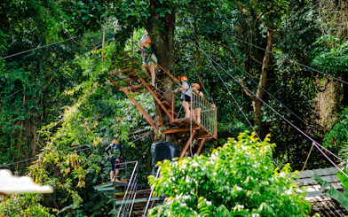 Participants on a zipline platform in a lush forest at Tree Bridge Zipline, Koh Samui.
