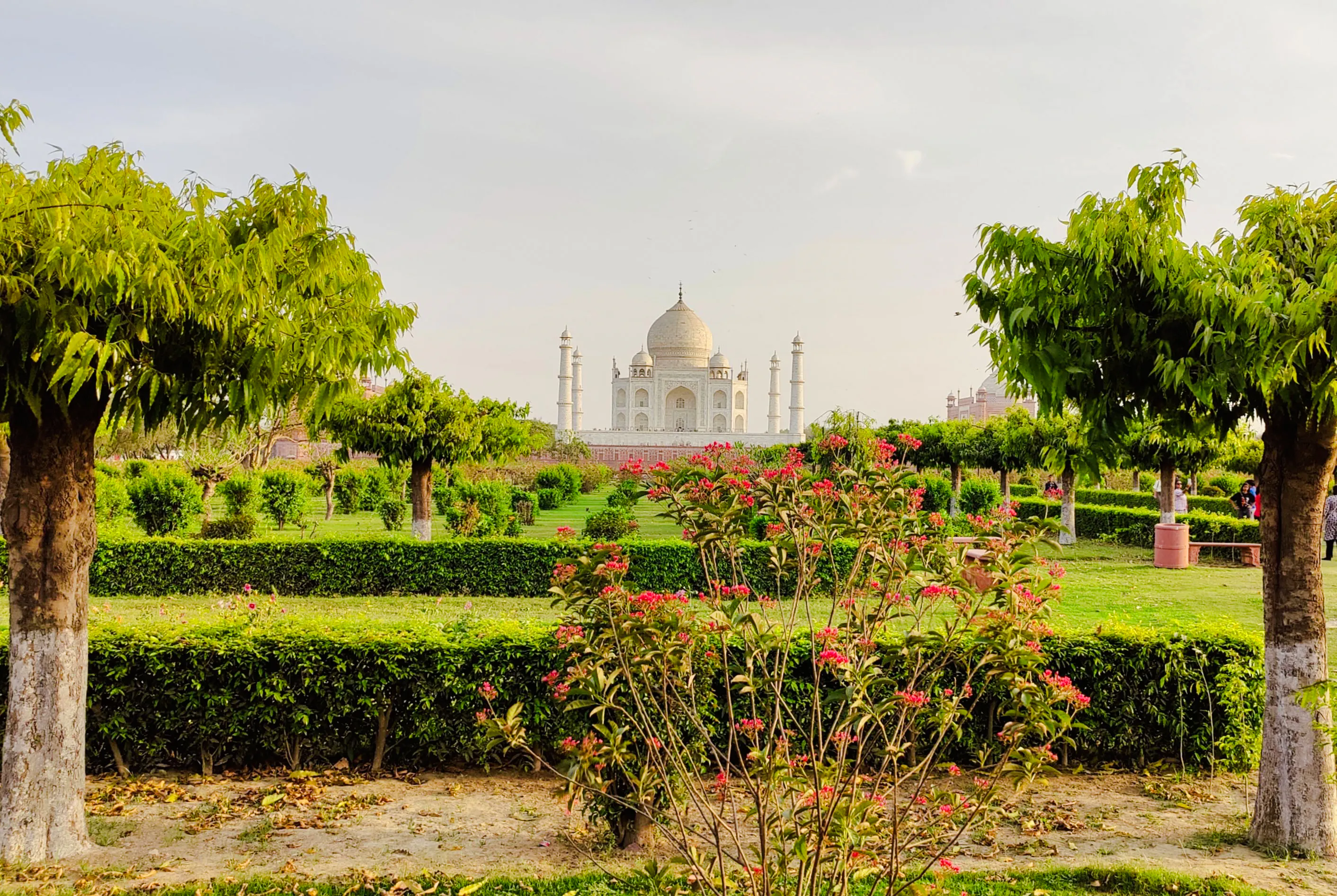 Sunset view Point of Taj Mahal / Mehtabh Bagh Garden Tour