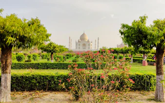 Taj Mahal viewed from Mehtab Bagh Garden, Agra, with lush greenery and flowers in the foreground.