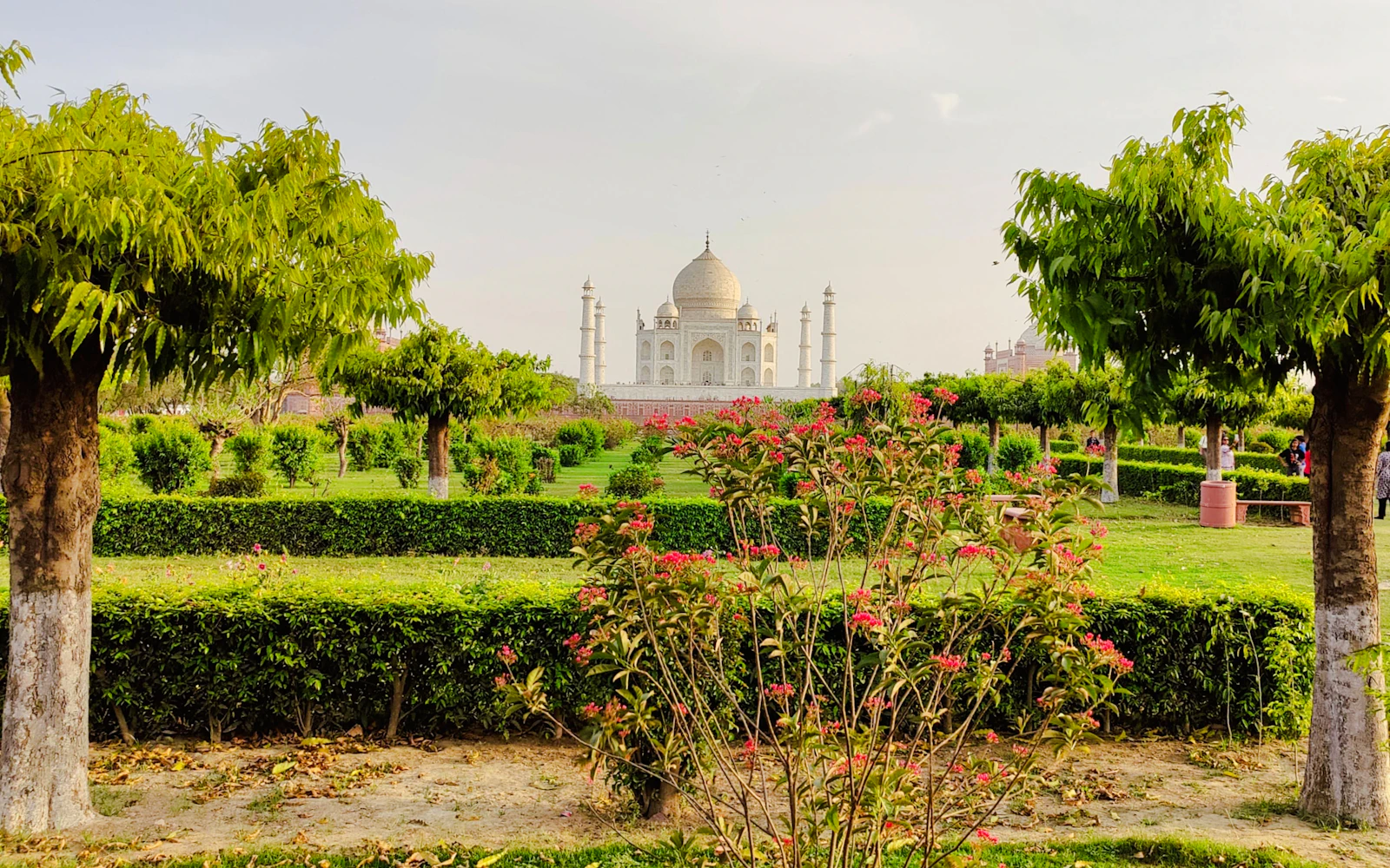Sunset view Point of Taj Mahal / Mehtabh Bagh Garden Tour