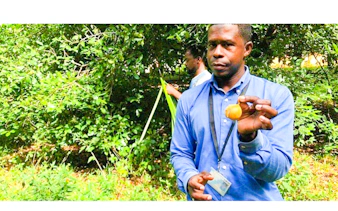 Guide showing spice at a farm in Zanzibar during a day trip from Dar es Salaam.