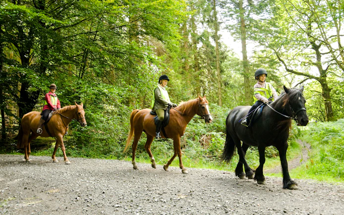 Side Beach and Forest Horseback Riding with Hotel Transfers