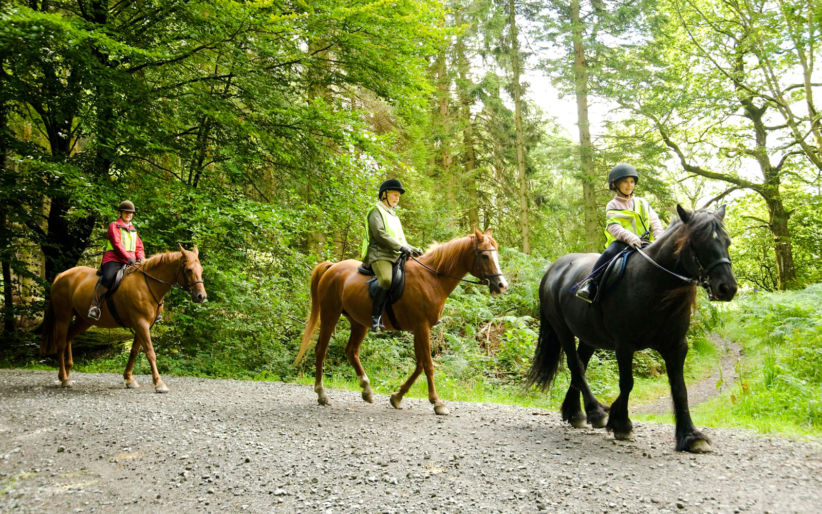 Side Beach and Forest Horseback Riding with Hotel Transfers Image 2