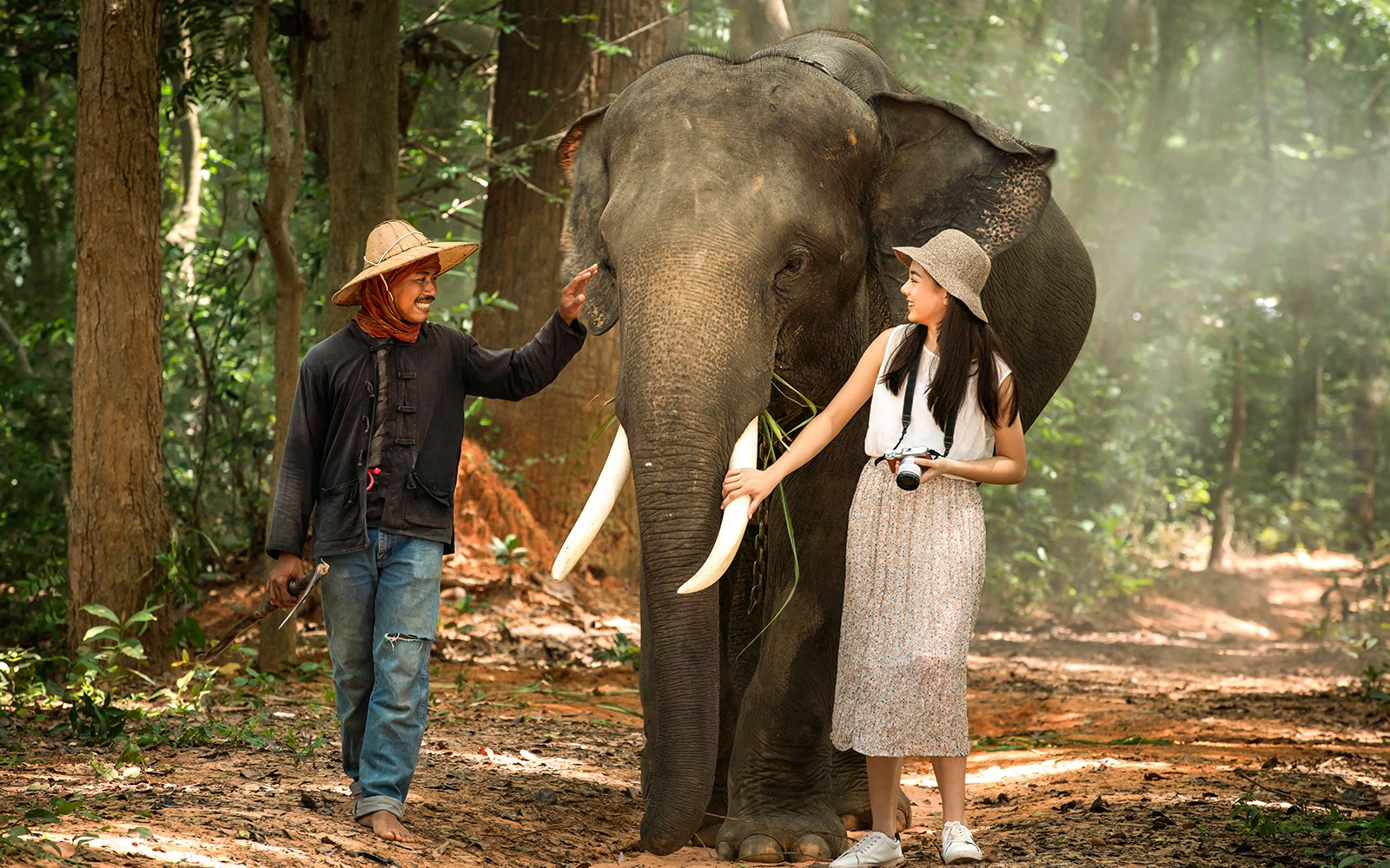 Bali Safari And Marine Park Tickets