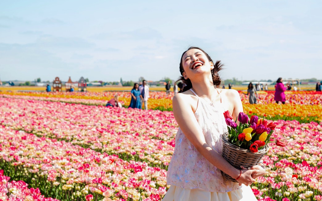 Guests enjoying the vibrant tulip fields at Tulip Experience Amsterdam.