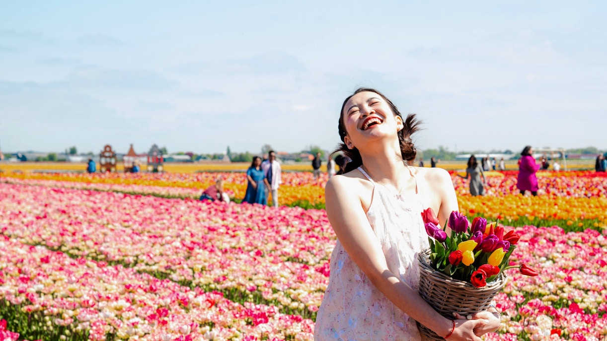 Guests enjoying the vibrant tulip fields at Tulip Experience Amsterdam.