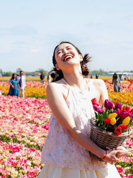 Guests enjoying the vibrant tulip fields at Tulip Experience Amsterdam.