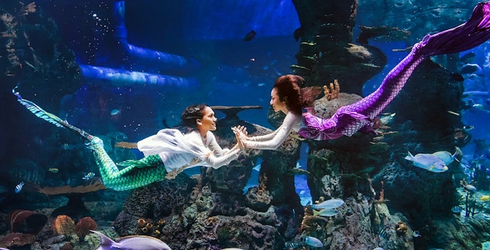 Jakarta Aquarium Safari