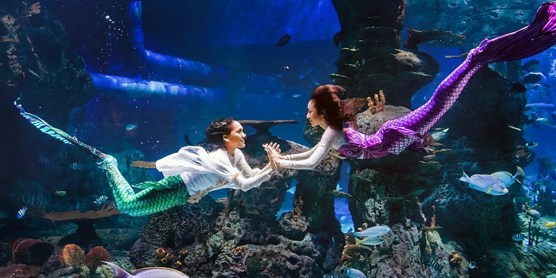 Jakarta Aquarium Safari