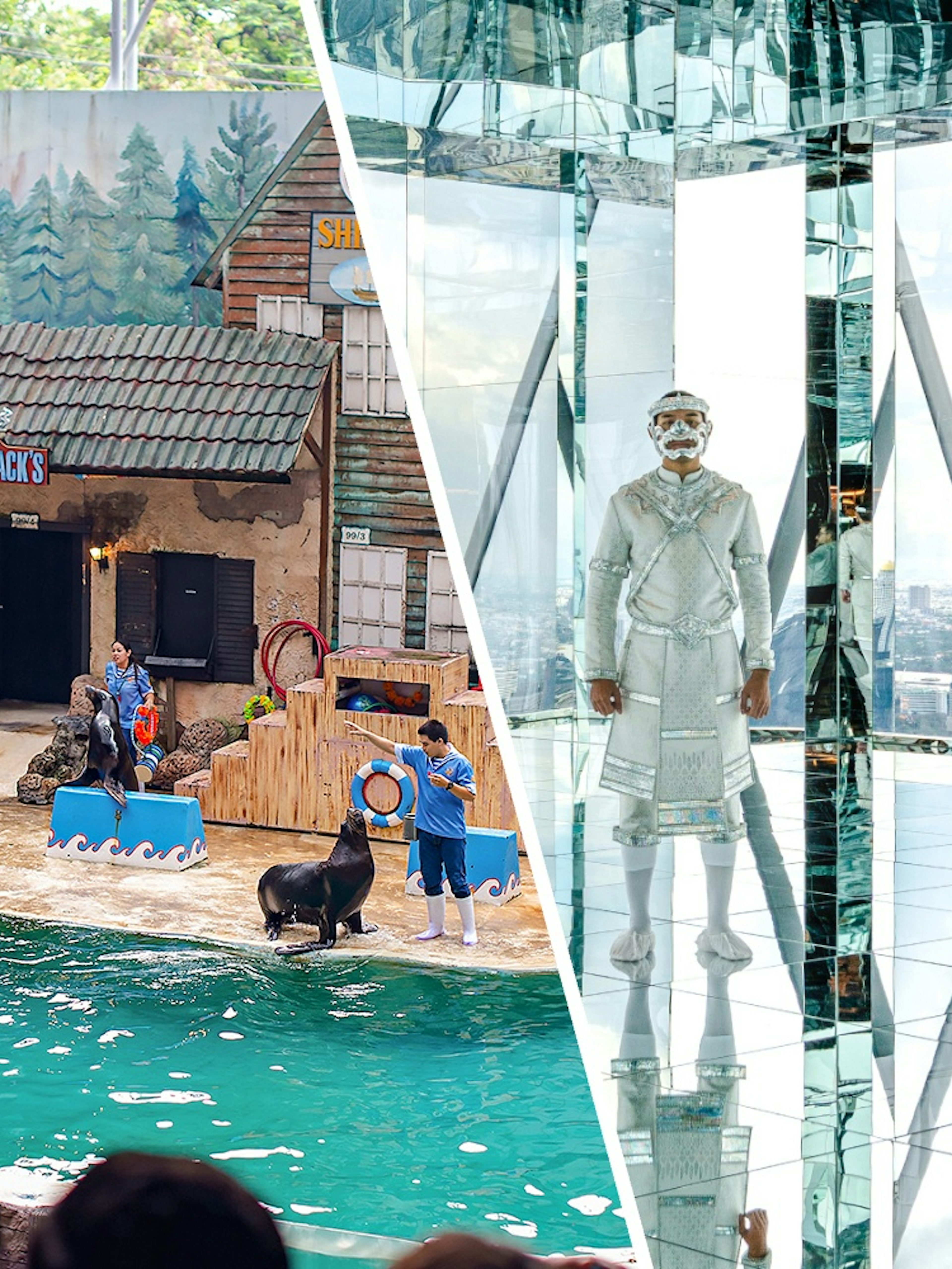 Seals performing tricks with trainers at Marine Park's themed show area.
