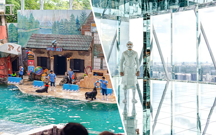 Seals performing tricks with trainers at Marine Park's themed show area.