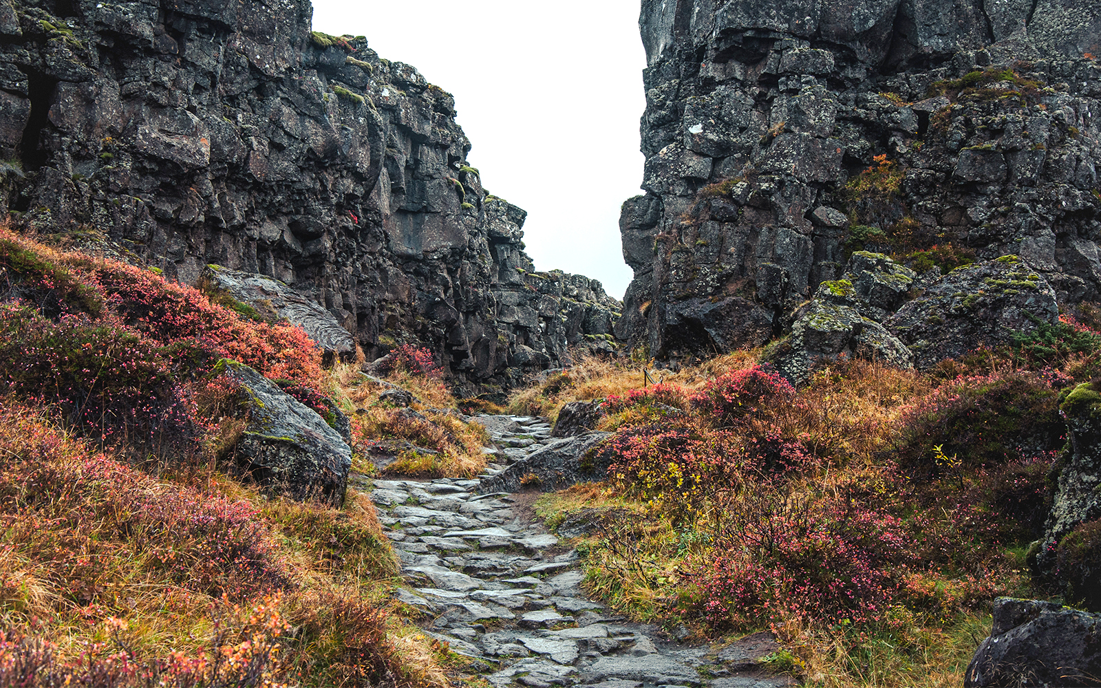 Thingvellir nationalpark