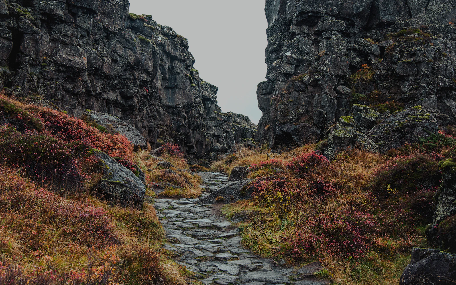 Thingvellir National Park photos