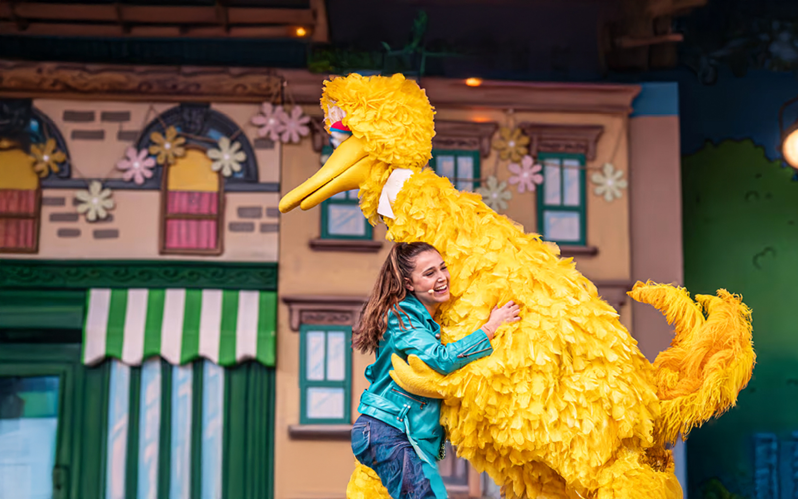 Cookie Monster, Abby Cadabby, Big Bird, Bert and Ernie are preparing a big celebration to welcome the new season