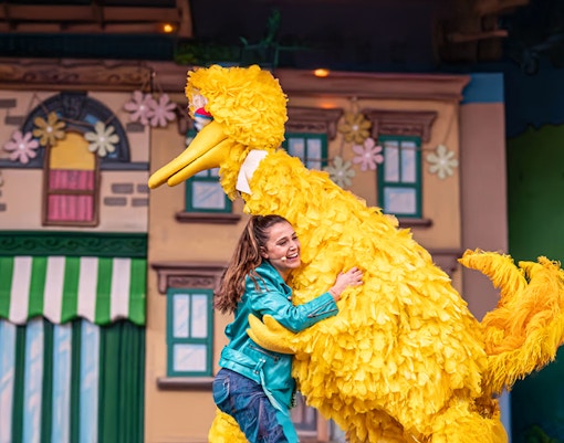 Cookie Monster, Abby Cadabby, Big Bird, Bert and Ernie are preparing a big celebration to welcome the new season