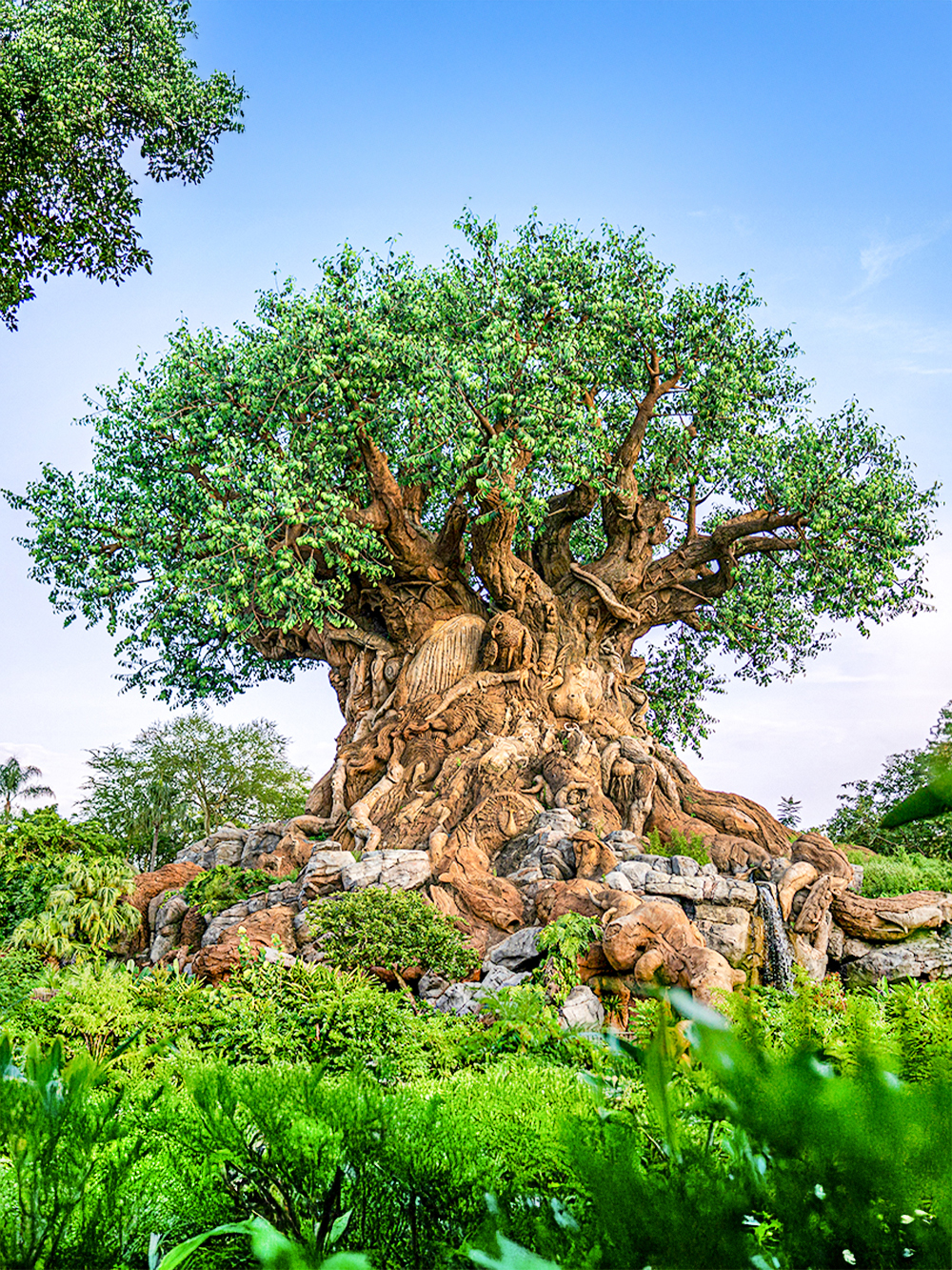 Disney's Dierenrijk, Orlando