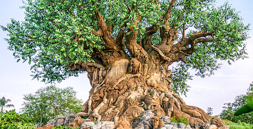 Regatul animalelor Disney, Orlando