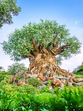 Disney's Animal Kingdom, Orlando