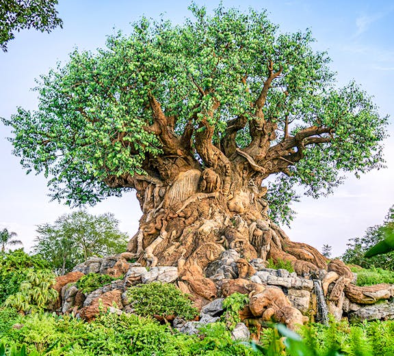 Tree of Life at Animal Kingdom, Walt Disney World, Orlando, with intricate animal carvings.