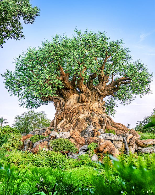 Tree of Life at Animal Kingdom, Walt Disney World, Orlando, with intricate animal carvings.